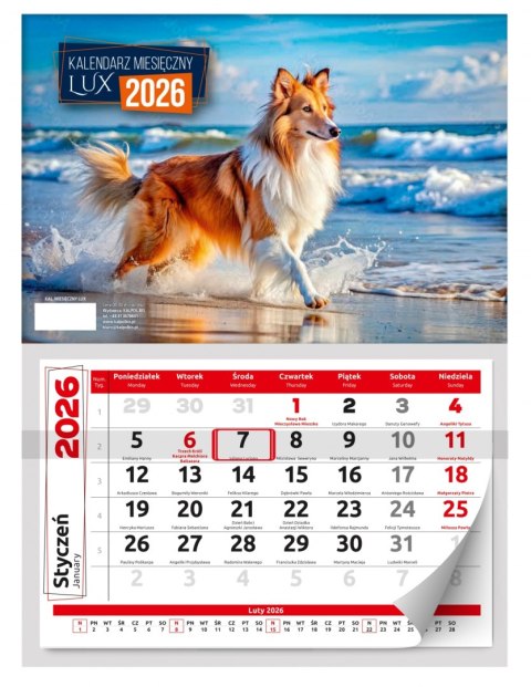 Kalendarz jednodzielny 29x39 cm Lux KALPOL BIS 474513 KAL