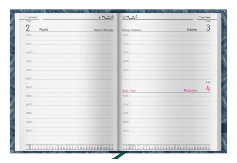 Kalendarz książkowy A5 Miłość KALPOL-BIS 474414 KAL