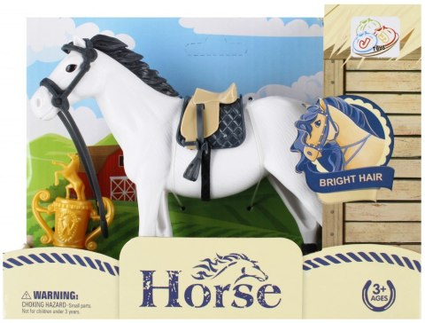 Konik z akcesoriami mix MEGA CREATIVE 524843