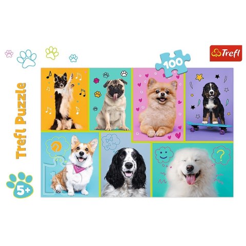 Puzzle 100 elementów W świecie Piesków TREFL 16421