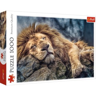 Puzzle 1000 elementów Śpiący Lew TREFL 10447 TR