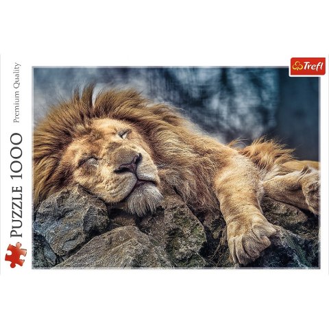 Puzzle 1000 elementów Śpiący Lew TREFL 10447 TR