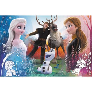 Puzzle 300 elementów Frozen 2 TREFL 23006 TR