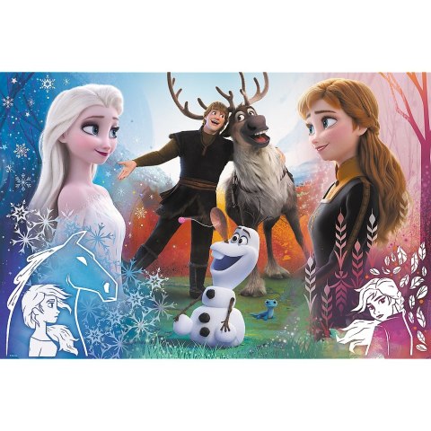 Puzzle 300 elementów Frozen 2 TREFL 23006 TR