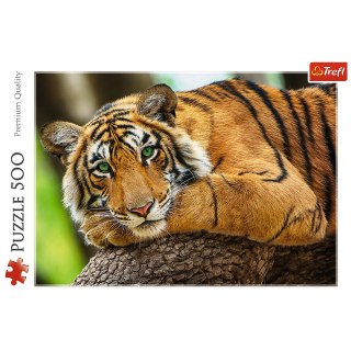 Puzzle 500 elementów Portret tygrysa TREFL 37397 TR
