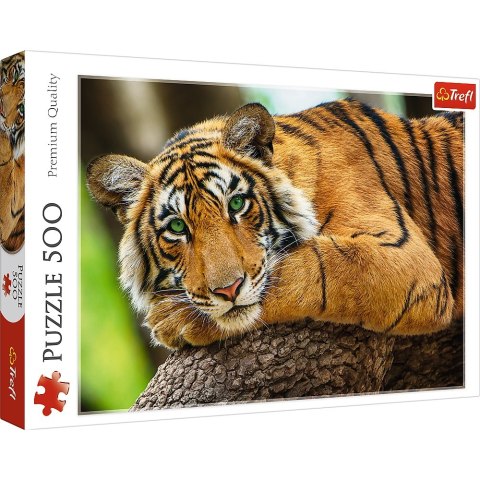 Puzzle 500 elementów Portret tygrysa TREFL 37397 TR