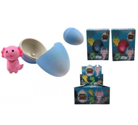 AKSOLOT ROSNACY W JAJKU 10X7X5 WB DISP A 12