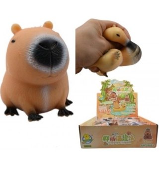 GNIOTEK KAPIBARA D45422 DISP A 12