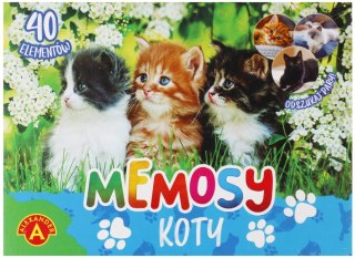 Gra Memosy Koty PLX PUD ALEXANDER 2785 ALX