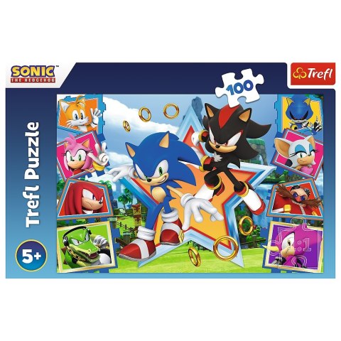 Puzzle 100 elementów Poznaj Sonica TREFL 16465 TR