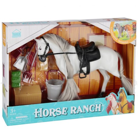 Konik z akcesoriami MEGA CREATIVE 572006