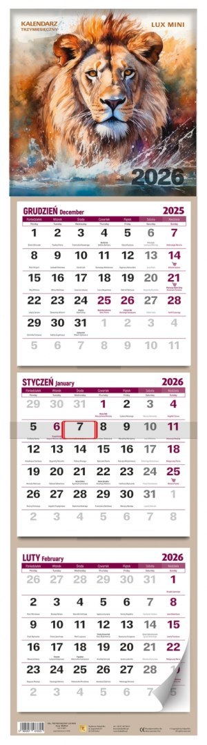 Kalendarz trójdzielny 20x76 Lux mini KALPOL.BIS 474582