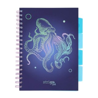 Kołozeszyt B5/100k kratka oprawa PP 80g Ośmiornica granat STRIGO PADS051