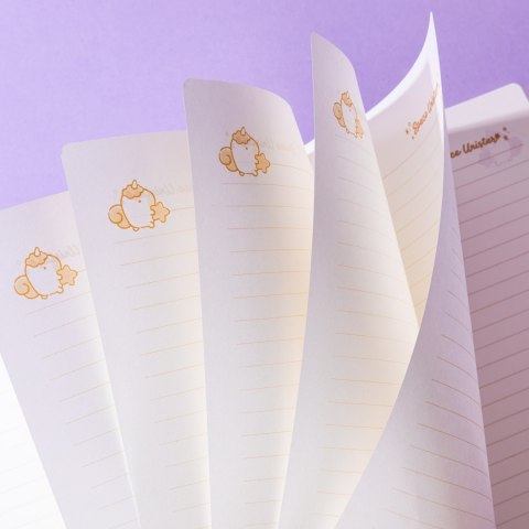 -ZESZYT B5/42K SQUISHY