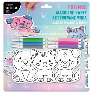 ZEST KREAT MAGICZNE KARTY FRIENDS KIDEA B/C