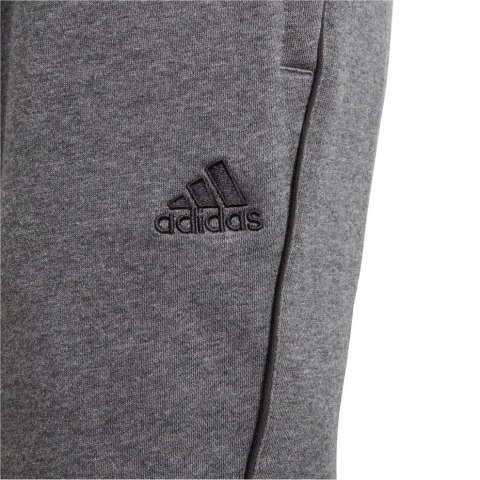 Spodnie dla dzieci adidas Core 18 Sweat JUNIOR szare CV3957