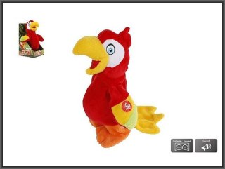 Papuga nagrywająca 20cm chodząca