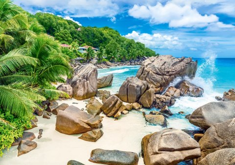 Puzzle 500 el. La Digue Island, Seychelles CASTORLAND B-54251