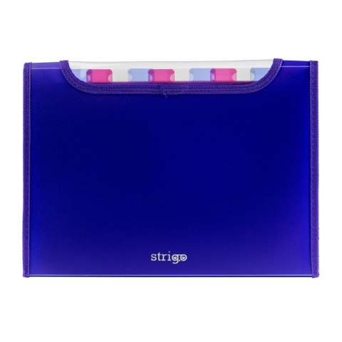 Teczka z gumką PP A4/25MM/6 przegródek fioletowa Strigo PILOT SF031