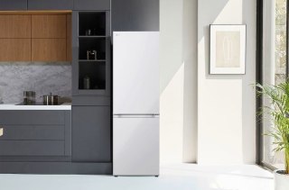 Lodówka LG GBV21L0ESW