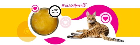 3Coty CHICKEN Cheers! Complementary feed cats 160g