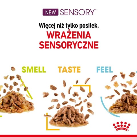 Karma Royal Canin Sensory Smell gravy 12x85g