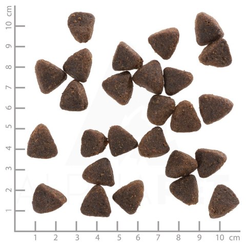 WOLFSBLUT Jack Rabbit rabbit/vegetables 12,5kg