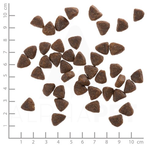 WOLFSBLUT Wide Plain Puppy horse/sweet pota. 12,5kg