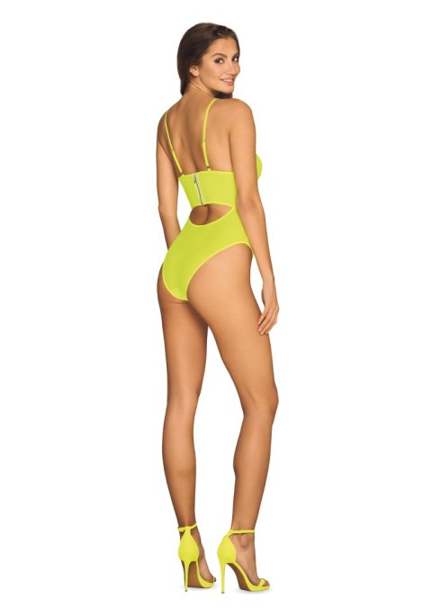 Body Neonia Body Neonia