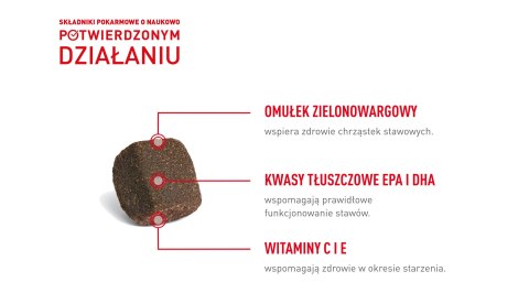 ROYAL CANIN Joint&Ageing Adult Dog Supplements 240g