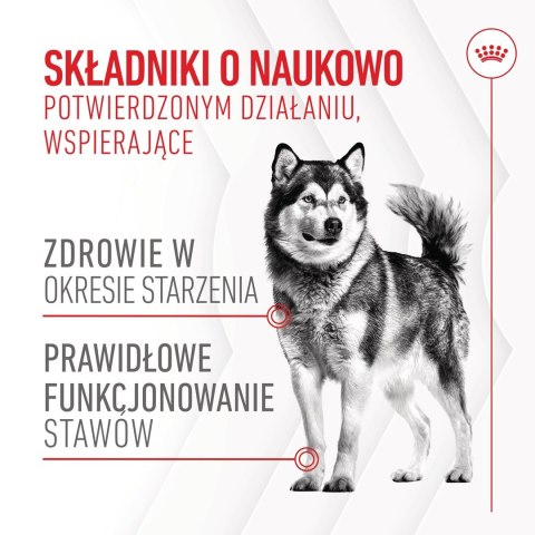 ROYAL CANIN Joint&Ageing Adult Dog Supplements 240g