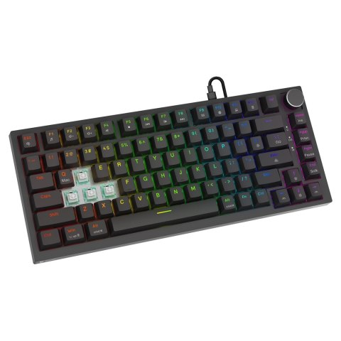 SAVIO KLAWIATURA MAGNETYCZNA ASTRAL BLACK OUTEMU WHITE JADE RGB