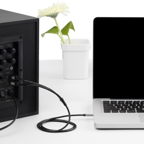 Kabel audio 3,5 mm męski na 2RCA męski 1 m czarny