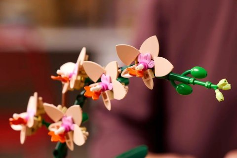 LEGO Botanical Collection 10343 - Mała orchidea