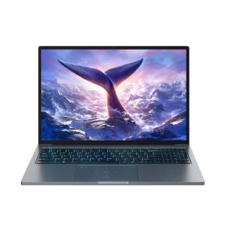 Blackview GamiBook-8 Ryzen 7 7735HS 16" WUXGA AntiGlare 32GB 1TB BT BLKB FPR W11Pro Grey
