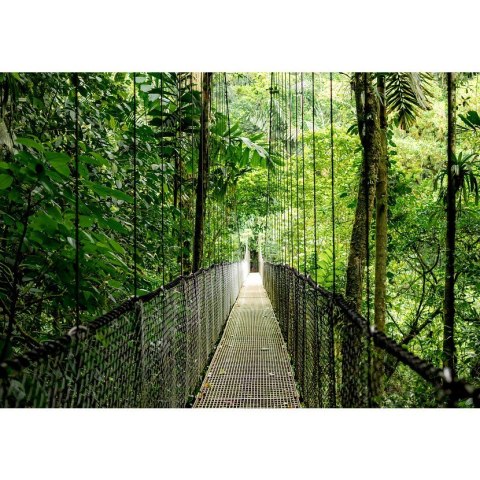 HP EliteBook 6 G1i Ultra 5 225U 16.0"WUXGA IPS 300nits AG 24GB DDR5 5600 SSD512 Arc Cam 5Mpx 56Wh W11Pro Pike silver aluminium 3