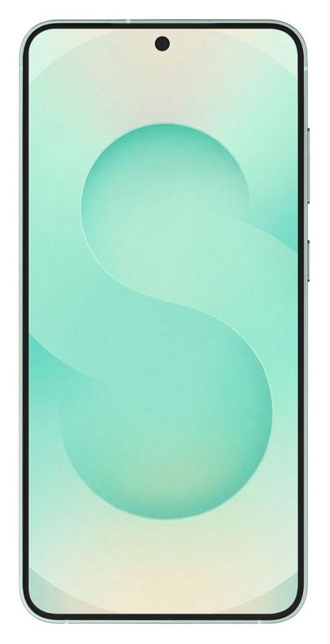 Samsung Galaxy S25 (S931) 5G DS 12/256GB Mint