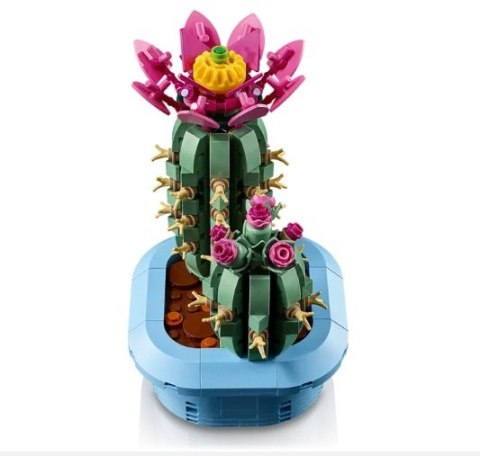 KLOCKI KONSTR LEGO 11509 BOTANICALS KAKTUS KWIT