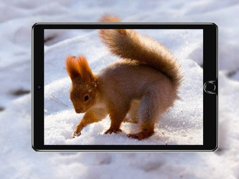 Szkło hartowane ESR do Apple iPad 10.2 2019/2020/2021 / iPad Air 3/ iPad Pro 10.5