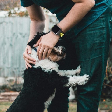 Pasek opaska gumowa SoftBand do Apple Watch 4 / 5 / 6 / 7 / 8 / SE / Ultra (42 / 44 / 45 / 49 mm) Black/Gray