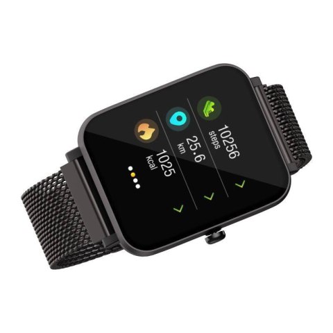 Smartwatch Havit H1103A (Szary)