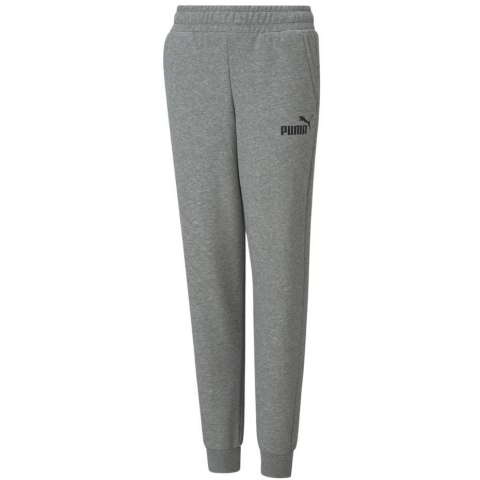 Spodnie dla dzieci Puma ESS Logo Pants FL szare 586973 03 Spodnie dla dzieci Puma ESS Logo Pants FL szare 586973 03