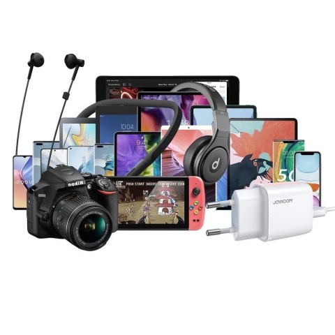 Joyroom ładowarka sieciowa 2x USB 2,1 A biała (L-2A101)