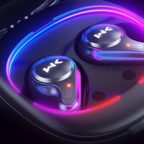 WK Design VB02 dokanałowe słuchawki TWS wodoodporne IPX5 Earbuds czarny (VB02)