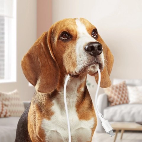 Acefast kabel USB Typ C - USB Typ C 1,2m, 60W (20V/3A) biały (C2-03 white)