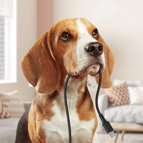 Acefast kabel USB Typ C - USB Typ C 1,2m, 60W (20V/3A) czarny (C2-03 black)