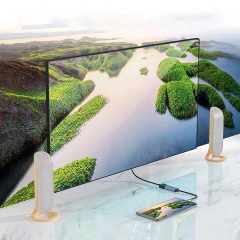 Choetech jednokierunkowy kabel przejściówka z USB Typ C (męski) do Display Port (żeński) 4K 0,2m szary (HUB-H11)