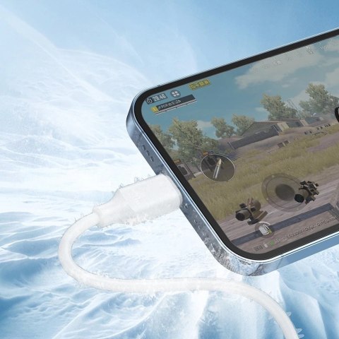 Joyroom kabel USB Typ C - Lightning 480Mbps 2m biały (S-CL020A9)