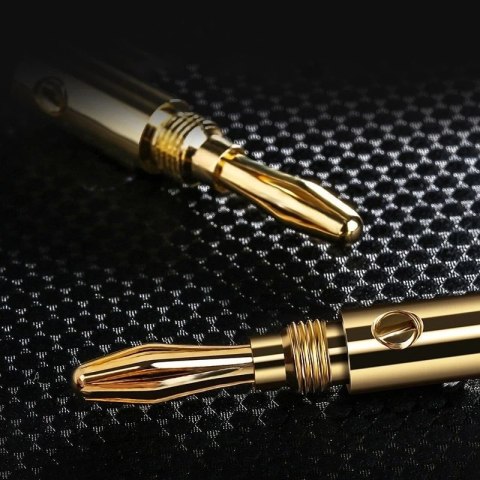 Kabel UGREEN głośnikowy dwukanałowy z wtykiem bananowym (AV152 50536)