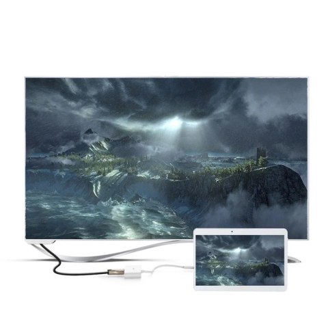 Adapter UGREEN przejściówka wideo micro HDMI - HDMI + VGA 30cm czarny (MM115)